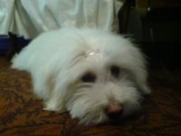 misthy_20211130_1939062592